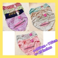 Embroidery panties *hips Max: 107cm-115cm, estimated 45inches/below) export to Japan