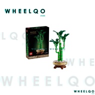 Botanicals # 10344 Lucky Bamboo