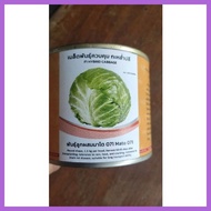 ▧ ☎ ◬ IN & CO F1 HYBRID WONDERBALL CABBAGE SEED 100 g