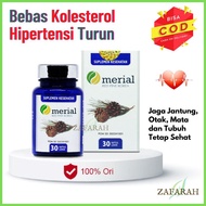 MERIAL Red Pine Korea Obat Kolesterol Pinus Merah Suplemen Kesehatan