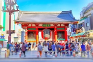 Tour xe buýt một ngày tham quan các địa danh nổi tiếng ở Tokyo khởi hành từ Ueno/Tokyo: Đền Meiji Ji