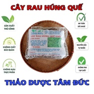 1kg cây húng quế khô