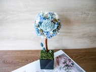 不凋繡球花球樹盆花【海水正藍】開幕禮/新居/名片座/客製化