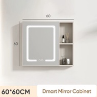 Aluminium Bathroom Cabinet with Mirror Large Storage Mirror Cabinet Kabinet Cermin Mirror Box with Shelf IKEA