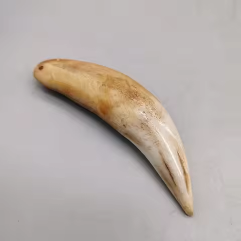 Tiger tooth pendant bone powder suppressed tooth pendant movie props animal teeth wenwan jewelry