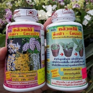 ✣THAILAND ALPHA OMEGA FOLIAR FERTILIZER ORGANIC FERTI PINK / GREEN BOTTLE BAJA UNTUK BERBUNGA DAN SUBUR