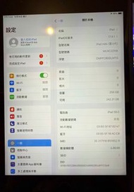 iPad mini 5 256G可以插咭或WiFi上網，1800元