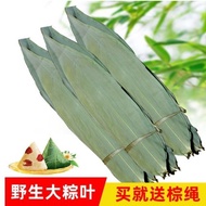 Unbreakable Leaves Dumplings Leaves Dumplings Dumplings Leaves Dumplings Natural Wild Big Unbreakabl