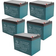 5 Pack 6-DZM-12 12V 12Ah Motorcycle Rechargeable Sealed Lead Acid Battery for 60V Scooter Electric B