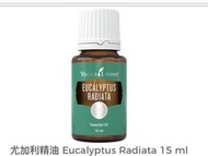 Eucalyptus radiata