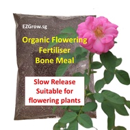 400g - 2KG Organic Flowering Fertiliser Bone Meal Fertilizer (fr SG)