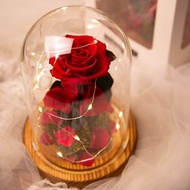 【唯一】美女與野獸 永生花紅玫瑰 玻璃罩 夜燈 /情人節 生日紀念