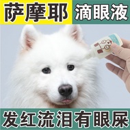 Samoyed dog eye drops to remove tear stains, eye drops for r Samoyed dog drops eye drops remove Tear