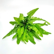 Artificial Fern Leaves X7