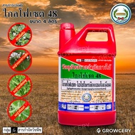 [G] ไกล โฟเซต 48 (ตราหวีทอง) ขนาด 4 ลิตร กำจัดได้ทั้งใบแคบและใบกว้าง ยี่ห้อ หวีทอง
