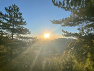 關立固300顆