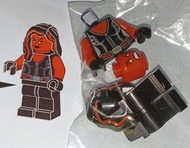 絕版停產 retired 人仔 LEGO Minifigures Super Heroes Avengers sh372 Red She-Hulk 貝蒂·羅斯 Avengers 76078 Hulk 