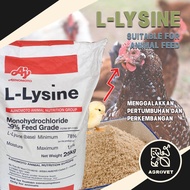 L-ysine Lysine Powder 98.5% 赖氨酸粉 - Supplement Ingredient
