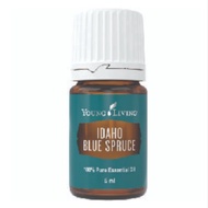idaho blue spruce Young living
