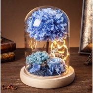 Flower Landscape Holder Glass Cover Glass Display Dome Cloche with Wooden Base