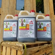 Asap cair batok kelapa cuka kayu 5 liter