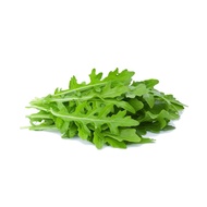 Arugula Rocket Salad Vegetable 400 Seeds Fast Harvest Beginner Friendly Easy Grow Leafy Greens