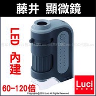 灰色 藤井 內建 LED 攜帶型 顯微鏡 UV紫外線燈 60-120倍 RXT203N 可調焦 迷你 LUCI日本代購