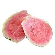 2026 New Product Pickled Pearl Guava Red Heart Guava Chaoshan Specialty Plum Juice Fruit Salty Guava