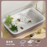 全城熱賣 - 【基本款】烏龜缸 家用造景生態缸 中小型水族箱 陽台客廳龜龜飼養箱飼養缸 家用龜箱
