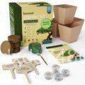 Tree Box Flower Pot bonsai bonsai Planting Indoor tree Kit Vegetable Planting bonsai Planting tree U