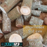 Mahogany Wood log 5-7 cm Length 10 cm Mahogany Log Wood Piece (WL-12)