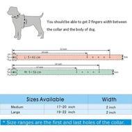 Studded Dog Collar, Leather Dog Collar for Medium Large Dogs Pitbull Doberman (M:17-20 inch, Gold Br