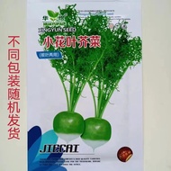 Small Flower Leaf Mustard Seed Autumn Bald Mustard Seed Big Mustard Seed Spicy Vegetable Big Pimple 