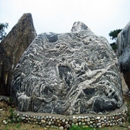 Consultation Wholesale Welcome Modeling Sapling Landscape Strange Stone Guarantee Quality Loose Land