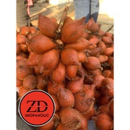 BUAH SALAK SIAM SEDAP