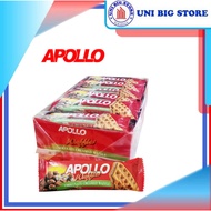 Apollo Chocolate Creamed Waffles 36 pcs x 18 gr Chocolate Wafer Waffle BOX