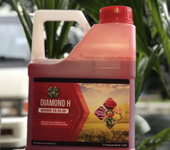 4L Biored 10:16:20 Baja Paksa Buah Semua Jenis Pokok - KWY