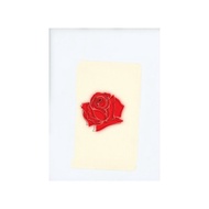 Vinyl Lany : [2LP]