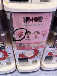 SPY x FAMILY 扭蛋 公仔