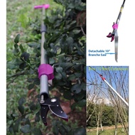 Fruit Picker and Cutter Tree Branches Pruner upto and Saw Extendable from 1.8m to 3 m (10 feet)