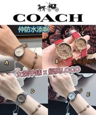 COACH LOGO防水女裝手錶