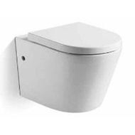 Modern Depot LAVIN-WMP Washdown Wall-Hung WC