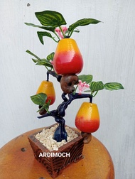 Bonsai buah/ Hiasan Meja tinggi 25 cm