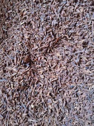 Cengkeh Manado 1 kg