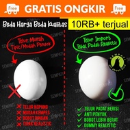 REPLIKA Fake Eggs Toys Pigeons FAKE Eggs Pigeon Chicken KATE Eggs FAKE Eggs Imitation Pigeons SOLID 