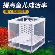 Guppy Betta Breeding Net Box, Aquarium Isolation Box, Fry Incubator Box