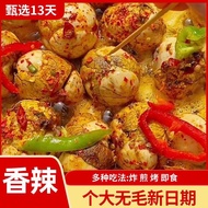 Red-Shell Balut – 13-Day Fertilized Egg Ready-to-Eat Snack 红皮活珠子