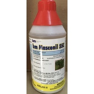 BM Masconil 5SC 1L / racun serangga / anai-anai " ready stock "