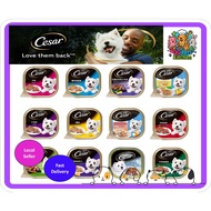 [Bundle of 24/ 28 Trays] CESAR Dog Wet Food 85g/ 100g | Dog Wet Food