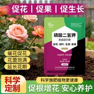 Potassium Phosphate Promote Flowering Fertilizer Universal Household Phosphate Potassium Fertilizer 